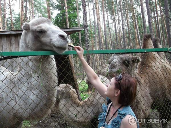 Национальный парк Орловское полесье (Россия, Орел) фото