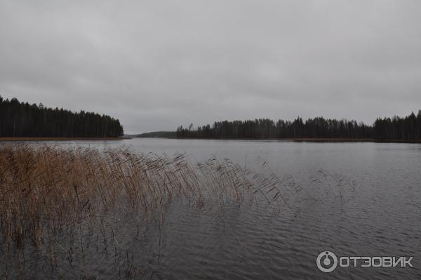 Коттедж Лехессалмен Мекки Финляндия, Анттола