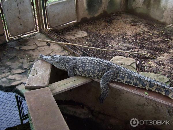 Экскурсия Экологический тур (Куба, Варадеро) фото