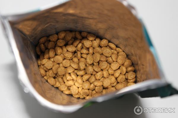 Сухой корм Purina ONE для домашних кошек фото