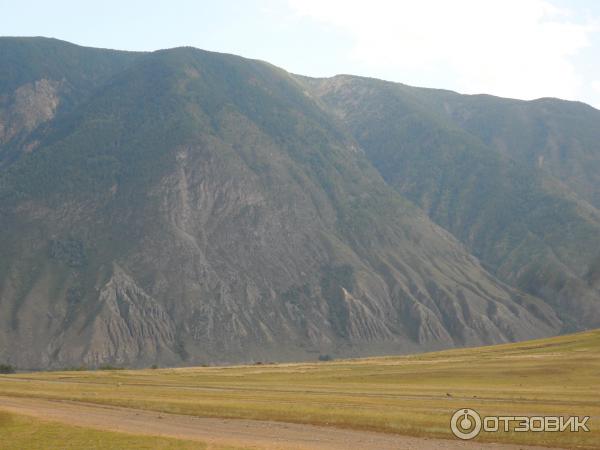 Каменные грибы на Алтае (Россия, Республика Алтай) фото