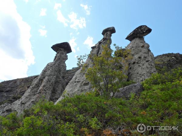 Каменные грибы на Алтае (Россия, Республика Алтай) фото