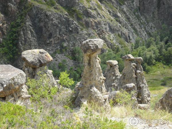 Каменные грибы на Алтае (Россия, Республика Алтай) фото