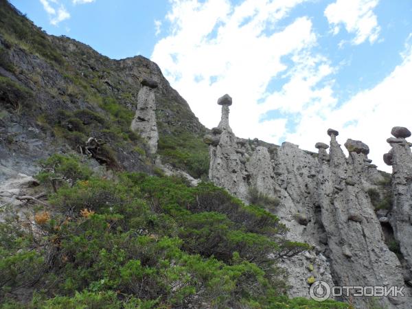 Каменные грибы на Алтае (Россия, Республика Алтай) фото