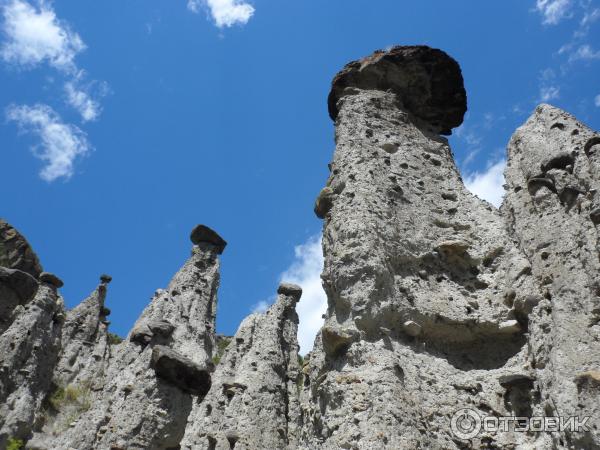 Каменные грибы на Алтае (Россия, Республика Алтай) фото