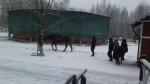 Парк семейного отдыха и экотуризма Зубровник (Россия, Токсово) фото