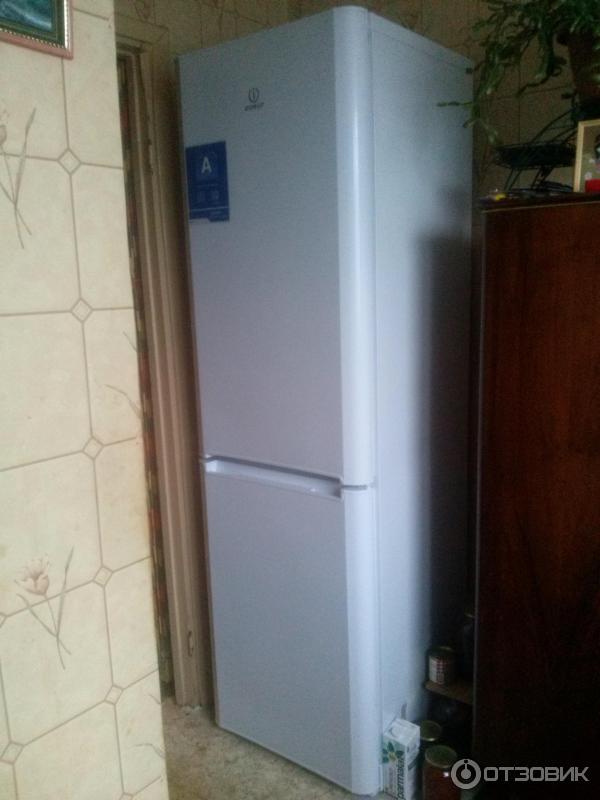 Холодильник Indesit BIA 20 фото