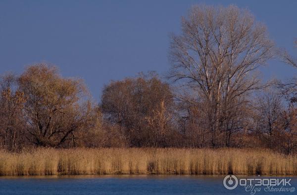 Город Азов (Россия, Ростовская область) фото