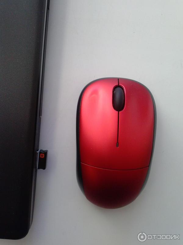 Мышь Logitech Wireless Mouse M215 фото