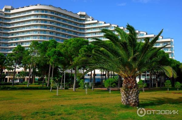 Отель Venosa Beach Resort & Spa 5* (Турция, Дидим) фото