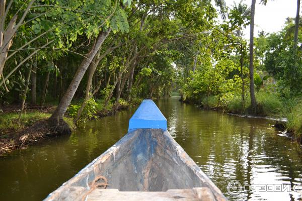 Отель Isola Di Cocco 4* (Индия, Керала) фото