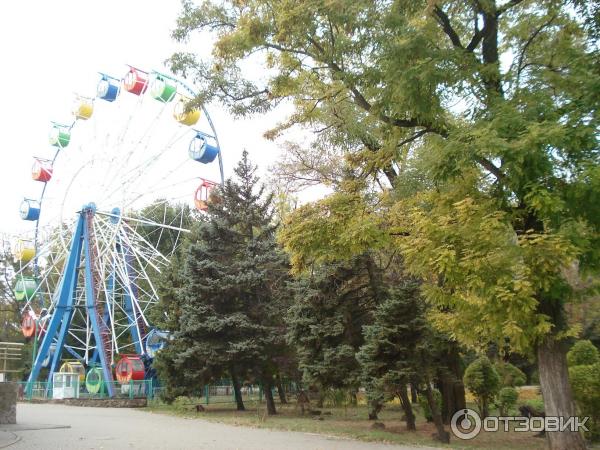 Парк Горького В Таганроге Фото