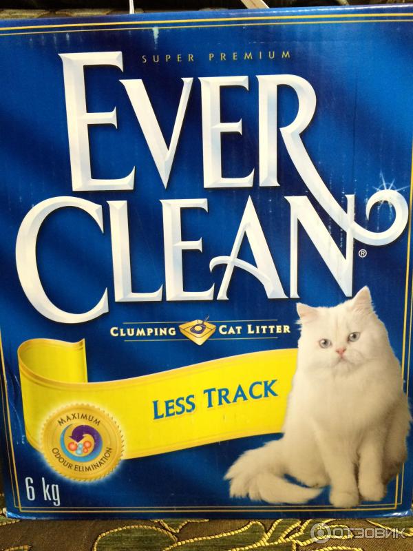 Everclean 2024 less track