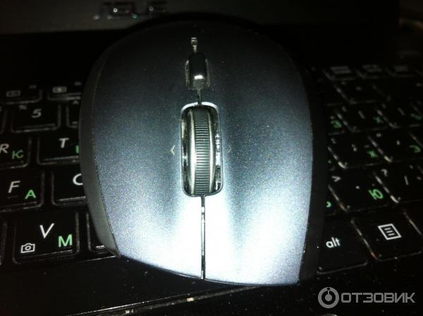 Беспроводная лазерная мышь Logitech Marathon Mouse M705 фото