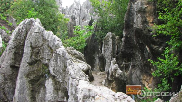 Каменный лес Шилинь (Китай, Куньмин) фото