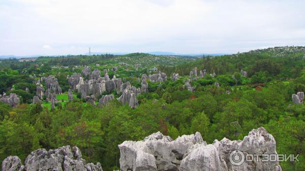 Каменный лес Шилинь (Китай, Куньмин) фото