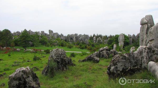 Каменный лес Шилинь (Китай, Куньмин) фото