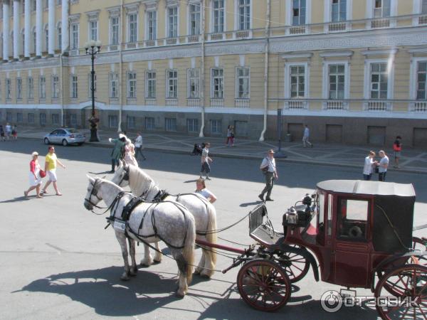 Автобусная экскурсия по Санкт-Петербургу (Россия, Санкт-Петербург) фото