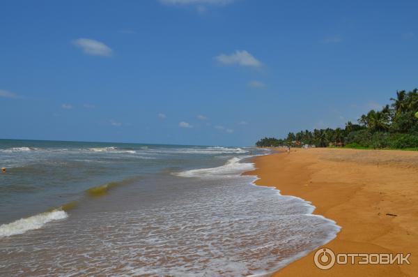 Отель Tangerine Beach 4* (Шри-Ланка, Калутара) фото