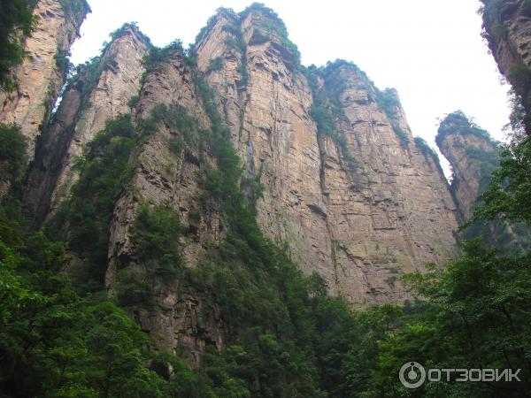 Национальный парк Чжанцзяцзе (Китай, Хунань) фото