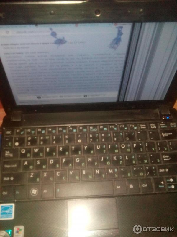 Нетбук ASUS Eee PC 1000HE фото