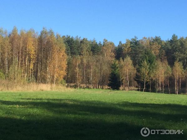 Музей под открытым небом (Эстония, Таллин) фото