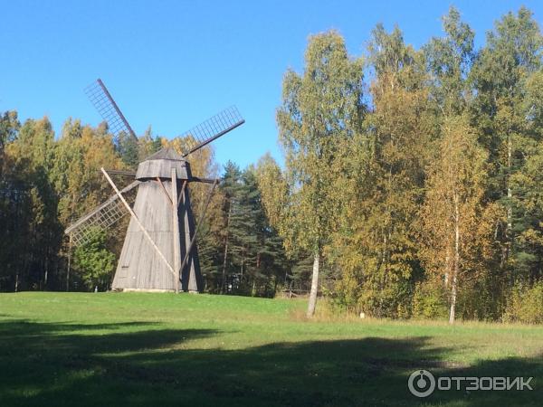 Музей под открытым небом (Эстония, Таллин) фото